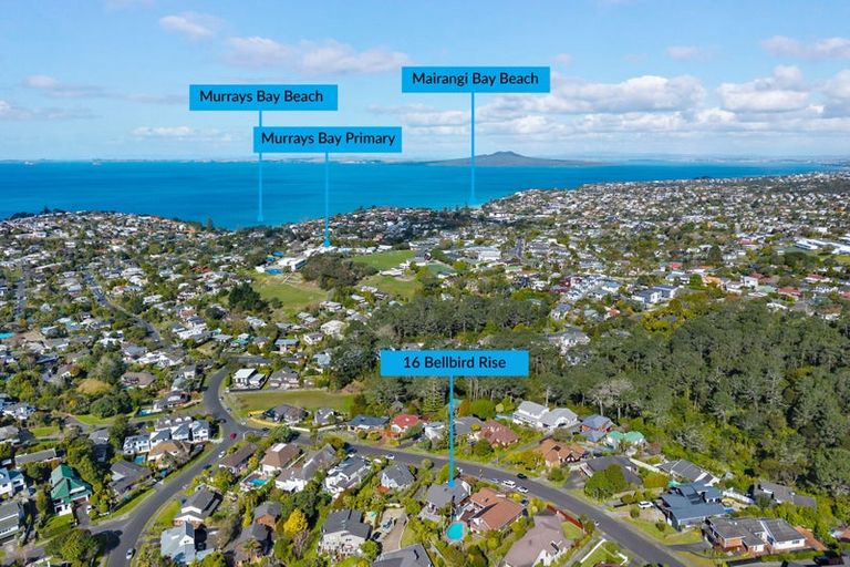 Photo of property in 16 Bellbird Rise, Murrays Bay, Auckland, 0630