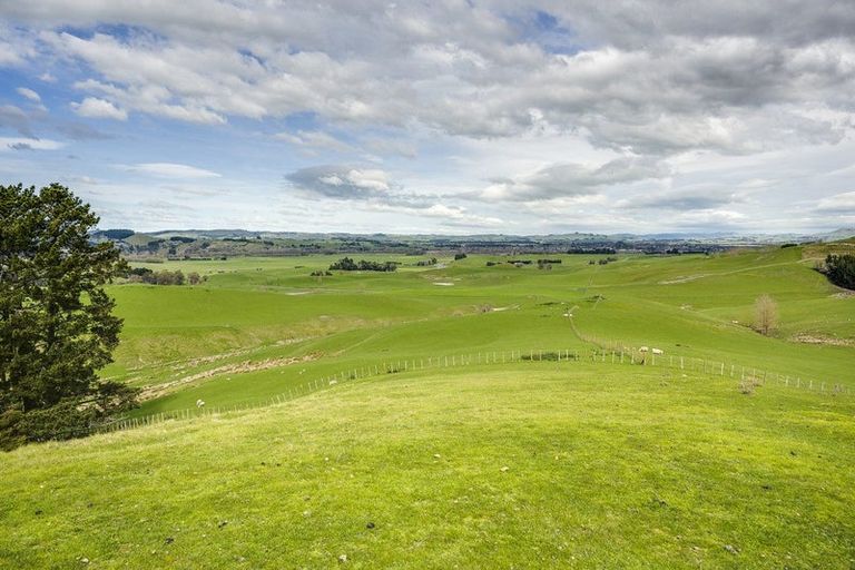 Photo of property in 226 Ongaonga Road, Waipawa, 4272