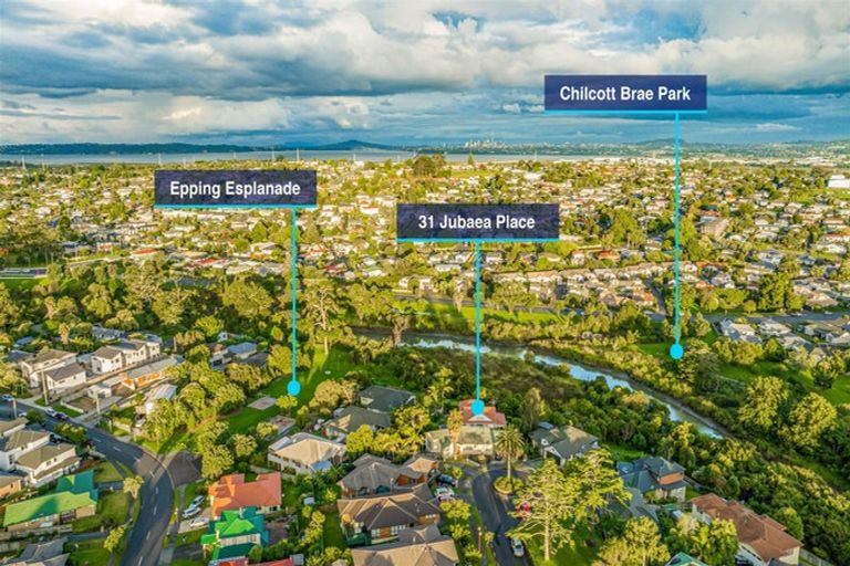 Photo of property in 31 Jubaea Place, Henderson, Auckland, 0610