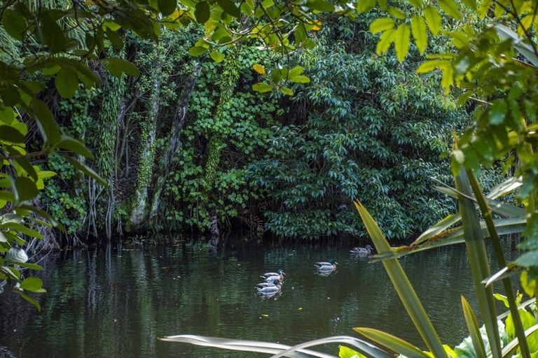 Photo of property in 19r Oceana Drive, Welcome Bay, Tauranga, 3175