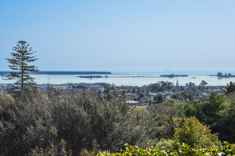 Photo of property in 12 George Kidd Street, Richmond, 7020