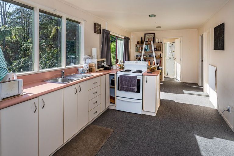 Photo of property in 478 The 309 Road, Waiau, Coromandel, 3581