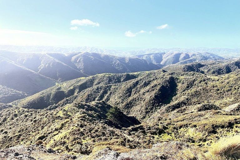 Photo of property in Long Gully Farm, 500 Hawkins Hill Road, Brooklyn, Wellington, 6021