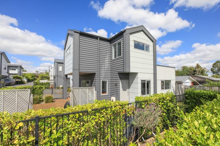 Photo of property in 8e Mary Street, Frankton, Hamilton, 3204