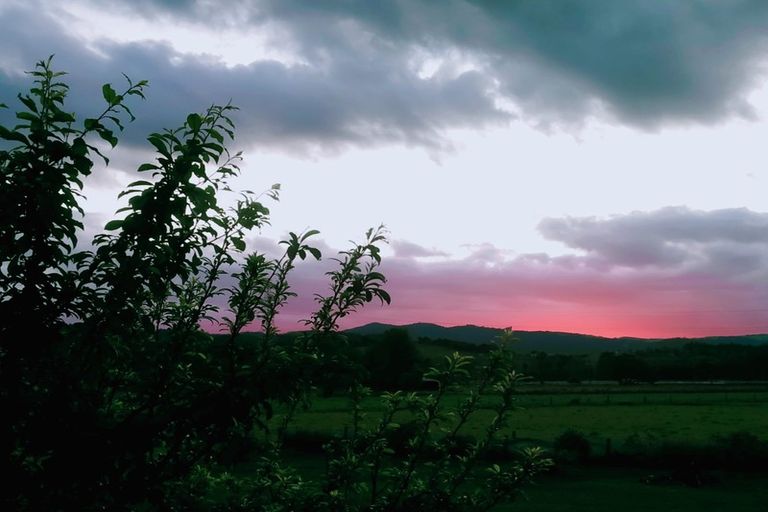 Photo of property in 31 Marsden Point Road, Ruakaka, 0116