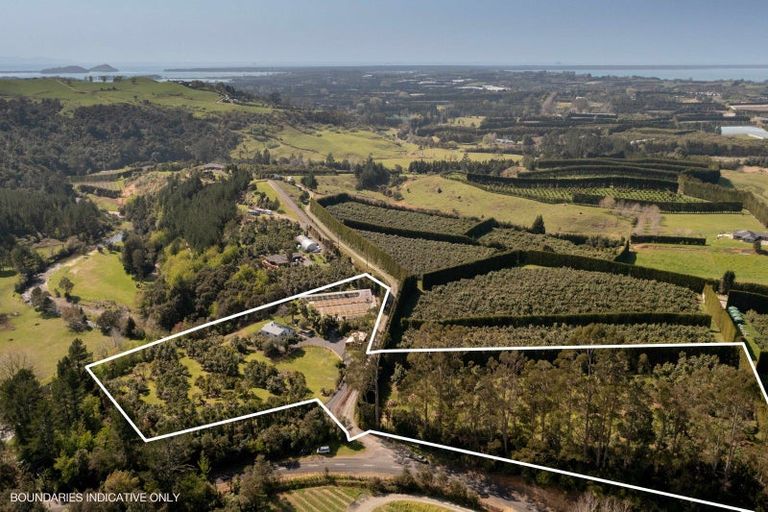 Photo of property in 286a Woodland Road, Tahawai, Katikati, 3170
