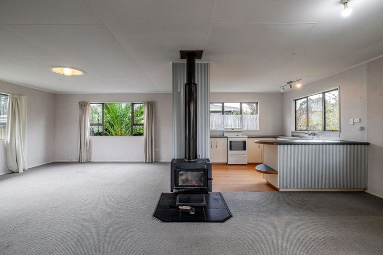 Photo of property in 38 Tararua Street, Pahiatua, 4910
