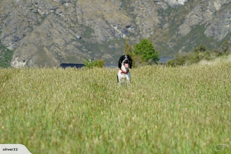 Photo of property in 6a Kinross Lane, Jacks Point, Queenstown, 9371