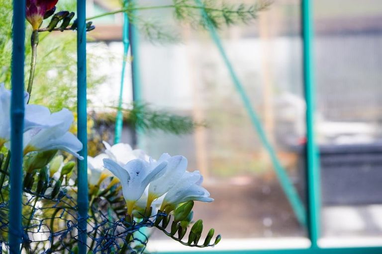 Photo of property in 121 Marsden Road, Greymouth, 7805