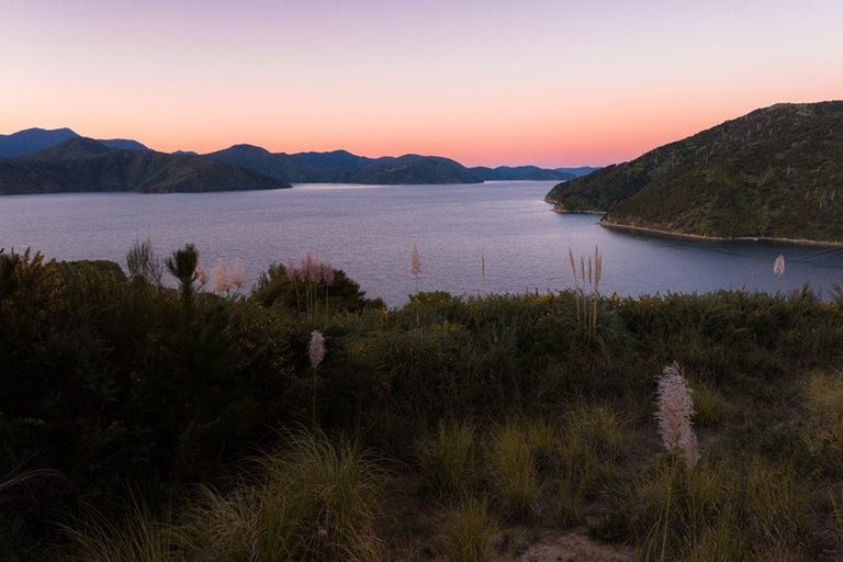 Photo of property in 318 Port Underwood Road, Whatamango Bay, Picton, 7281