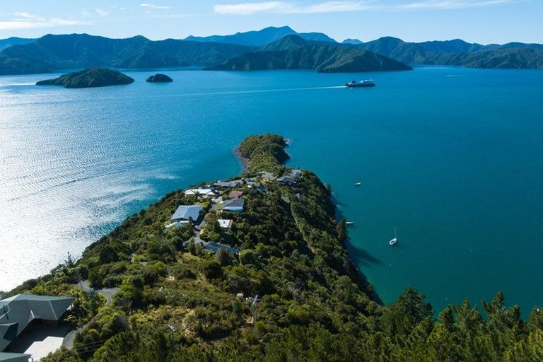 Photo of property in 318 Port Underwood Road, Whatamango Bay, Picton, 7281