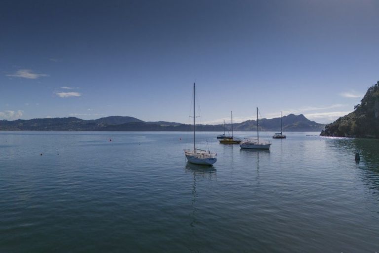 Photo of property in 995f Purangi Road, Cooks Beach, Whitianga, 3591