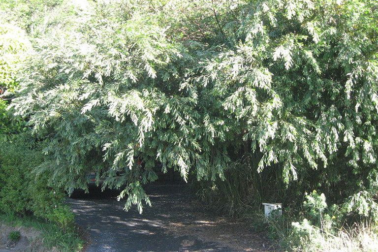 Photo of property in 19 Hempleman Drive, Akaroa, 7520