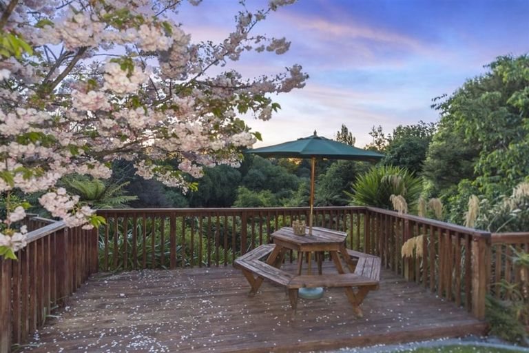 Photo of property in 19 Montrose Crescent, Huntington, Hamilton, 3210