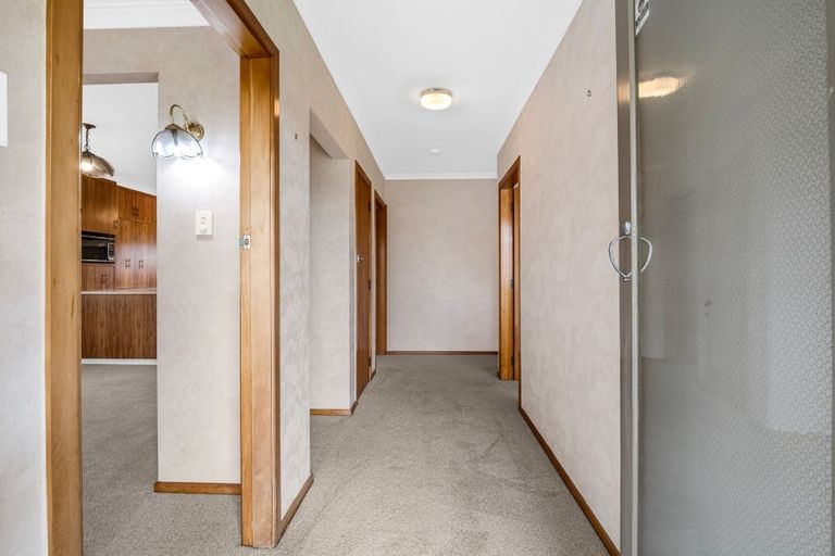 Photo of property in 22 Snowdon Avenue, Terrace End, Palmerston North, 4410