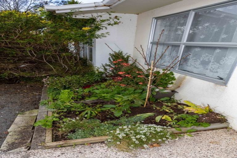 Photo of property in 4/4 Campbell Street, Whanganui, 4500