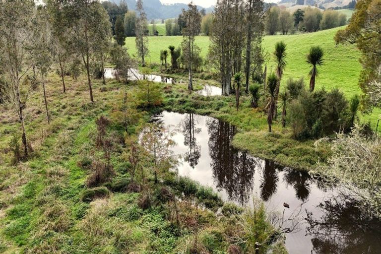 Photo of property in 305 Waitetuna Valley Road, Waitetuna, Raglan, 3295