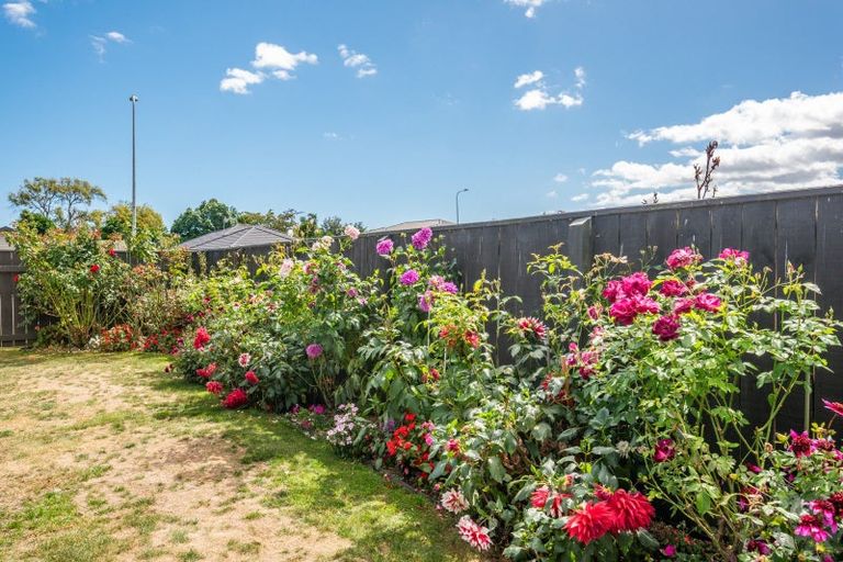 Photo of property in 24 Barry Curtis Place, Levin, 5510