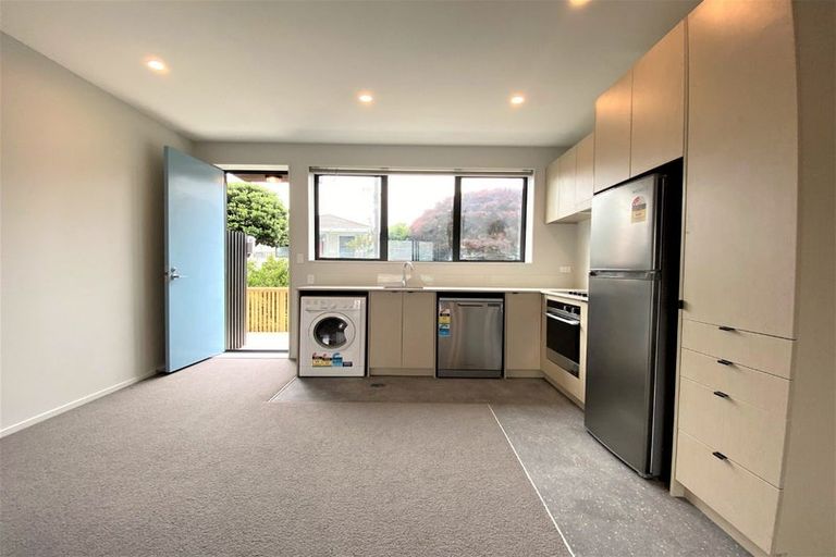 Photo of property in Aniva Terrace, 32 Ferguson Street, Newtown, Wellington, 6021
