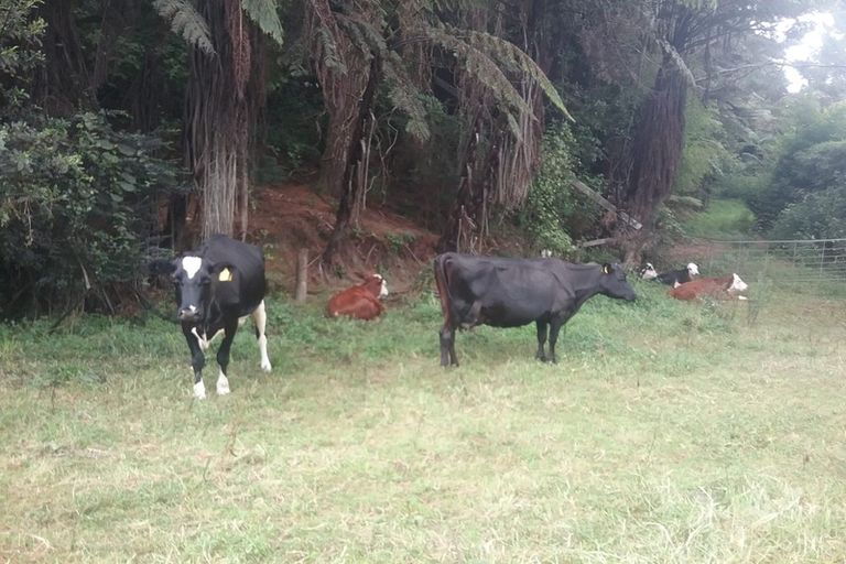 Photo of property in 88 Mark Road, Te Puke, 3188