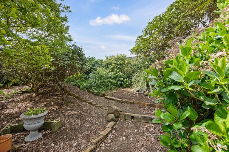 Photo of property in 24 Sequoia Place, Morrinsville, 3300