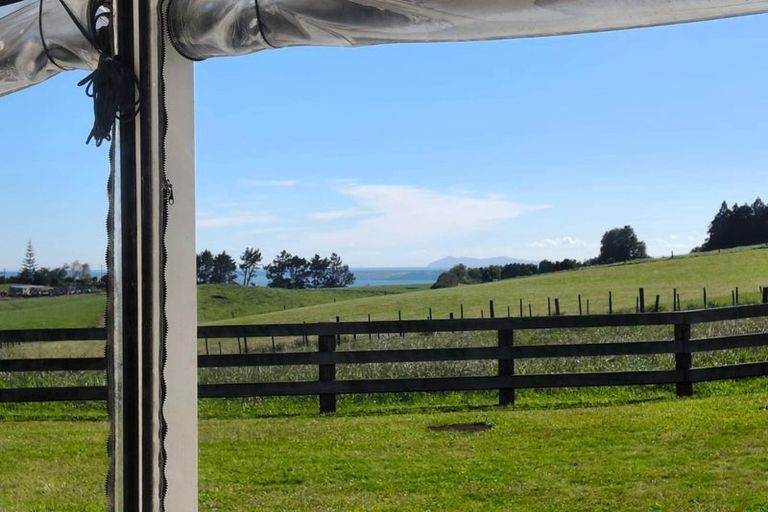 Photo of property in 648d Esdaile Road, Whakamarama, Tauranga, 3180