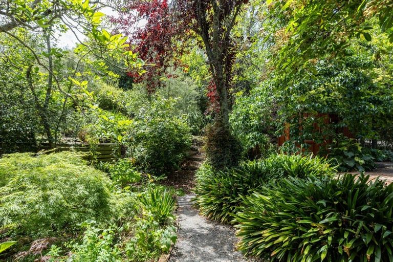Photo of property in 77 Kopanga Road, Havelock North, 4130