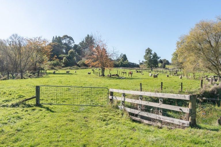 Photo of property in 733 Grove Road, Karamu, Hamilton, 3285
