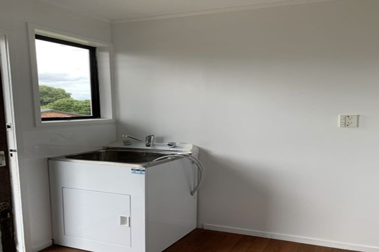 Photo of property in 45 Hooper Avenue, Pukekohe, 2120