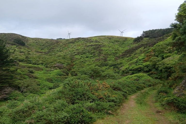 Photo of property in 741 Makara Road, Makara, Wellington, 6972