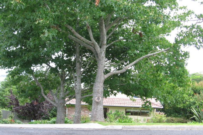 Photo of property in 2/38 Palmerston Road, Birkenhead, Auckland, 0626