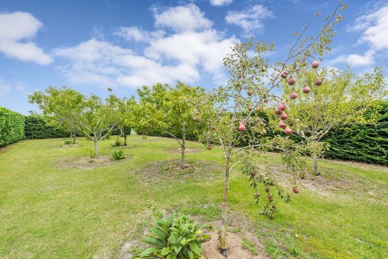 Photo of property in 128 Yaxleys Road, Loburn, Rangiora, 7473