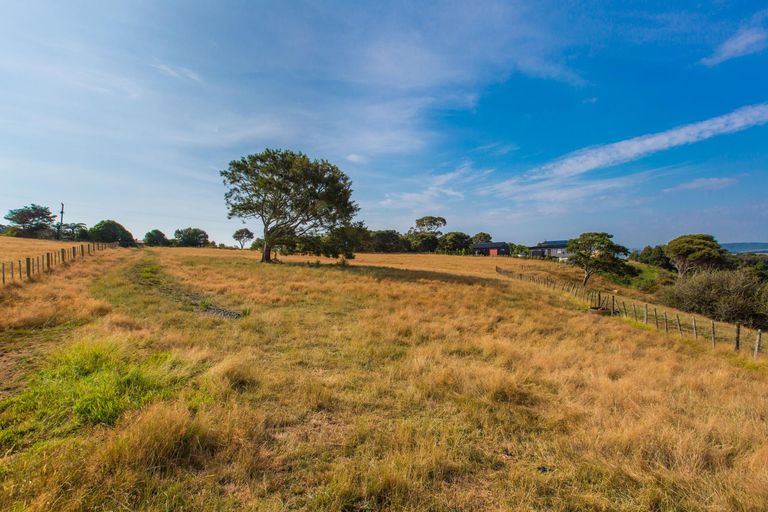 Photo of property in 81 Upper Wainui Road, Raglan, 3297