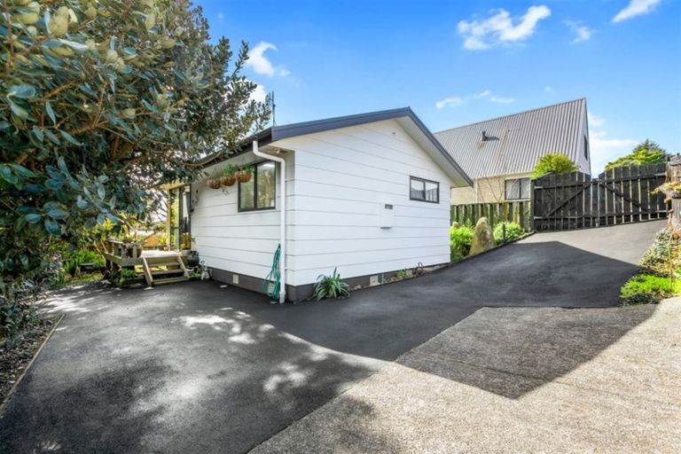 Photo of property in 33 Coopers Road, Gate Pa, Tauranga, 3112