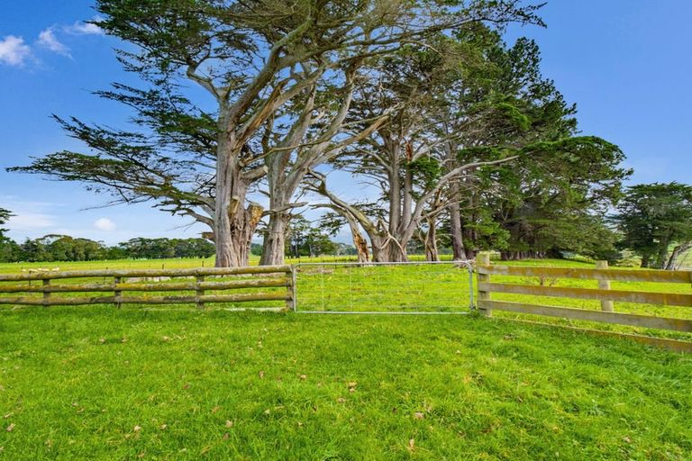 Photo of property in 517 Umutaoroa Road, Dannevirke, 4978