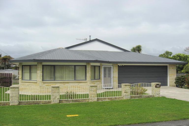 Photo of property in 26 Edinburgh Street, Levin, 5510