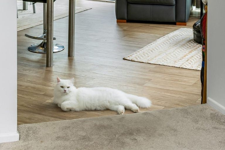 Photo of property in 5 Springwater Vale, Unsworth Heights, Auckland, 0632