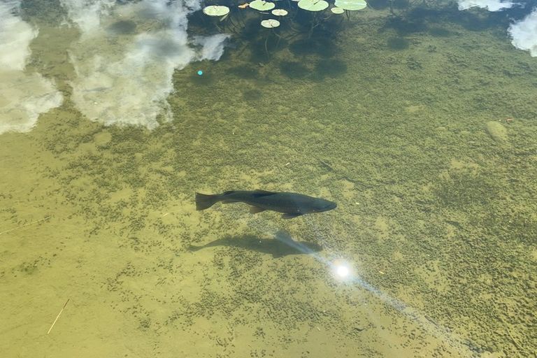 Photo of property in 6 Old Glen Lyon Road, Twizel, 7999