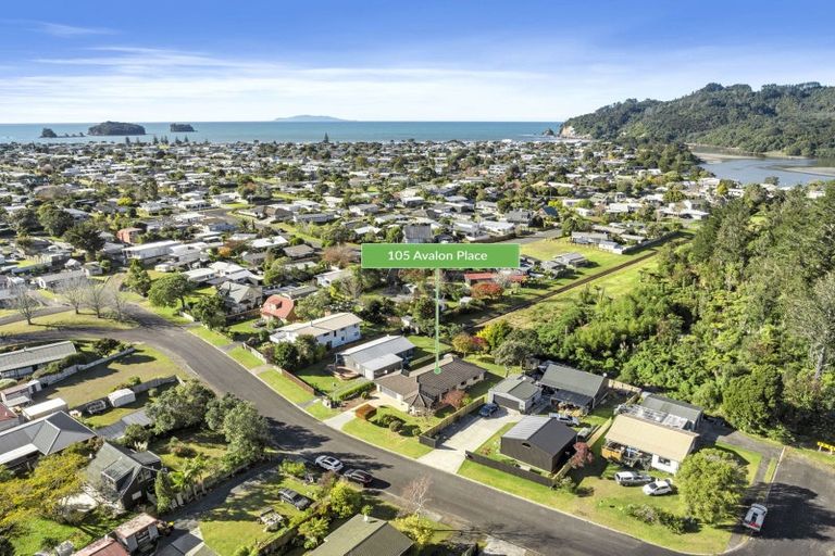 Photo of property in 105 Avalon Place, Whangamata, 3620