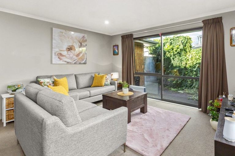 Photo of property in 31u9 Jones Crescent, Melville, Hamilton, 3206