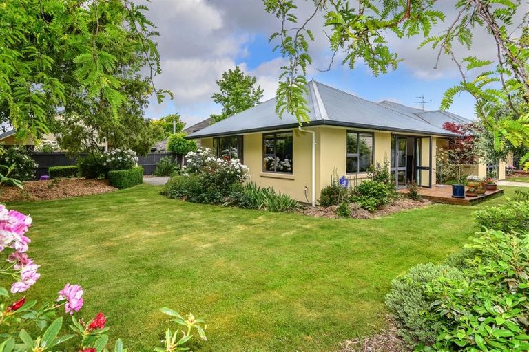 Photo of property in 6 The Mews, Lincoln, 7608