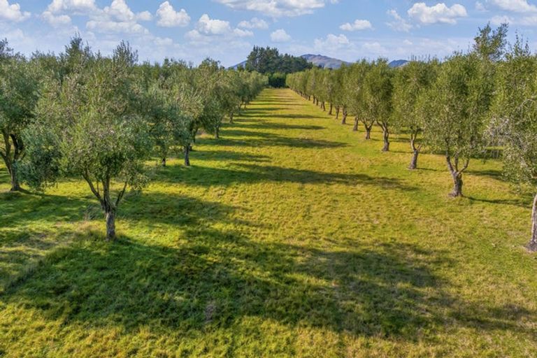 Photo of property in 327 Georges Road, Glasnevin, Amberley, 7482