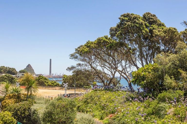 Photo of property in 3b Kawaroa Close, New Plymouth, 4310