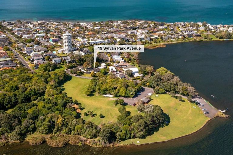 Photo of property in 19 Sylvan Park Avenue, Milford, Auckland, 0620