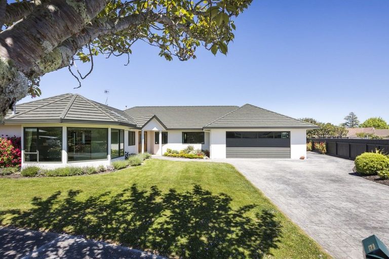 Photo of property in 16 Tudor Grove, Feilding, 4702