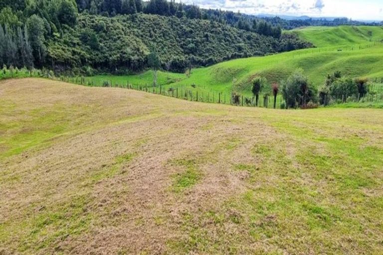 Photo of property in 956f Whakamarama Road, Whakamarama, 3179