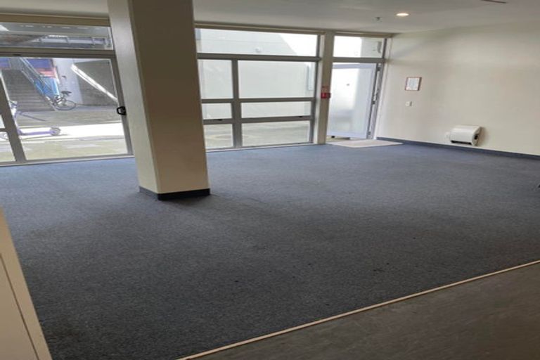 Photo of property in Hanson House, 27u2 Hanson Street, Mount Cook, Wellington, 6021