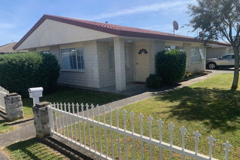 Photo of property in 65 Winchester Street, Levin, 5510