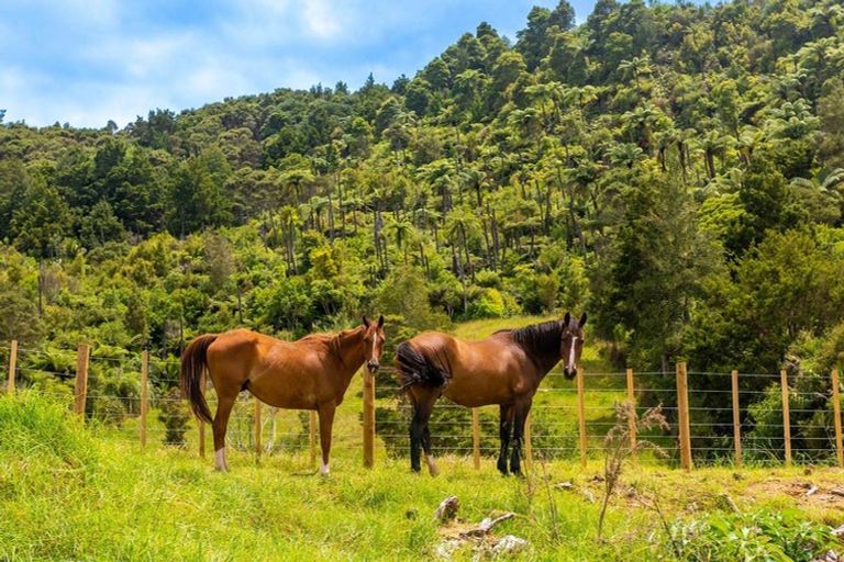 Photo of property in 542 Duddy Road, Rawene, Kaikohe, 0473