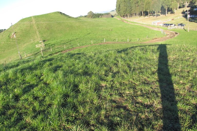 Photo of property in 181 Link Road, Wairakei, Taupo, 3384